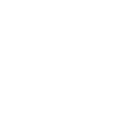 logo light