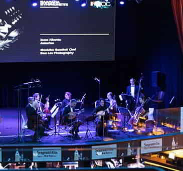 Bandas y shows en Platea Madrid